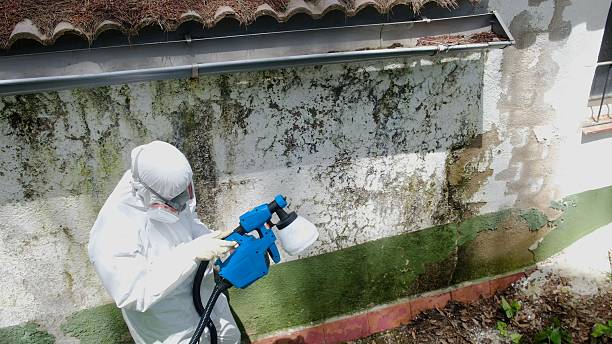 Trusted Mold Inspection service in Juliustown, NJ - Cheap Mold Removal
